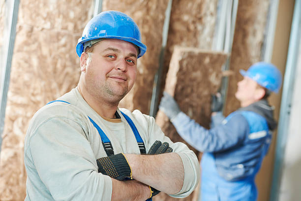 Best Batt and Roll Insulation  in Dolton, IL